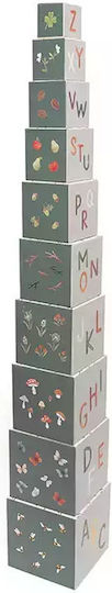 Petit Monkey Activity Cube Cubes Wild Animals for 12++ Months