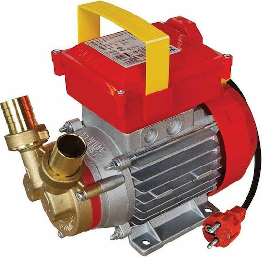 Rover Pompe BE-M 35 Single Phase Transfer Pump with 1 - 1/4" Inlet and 1hp Horsepower