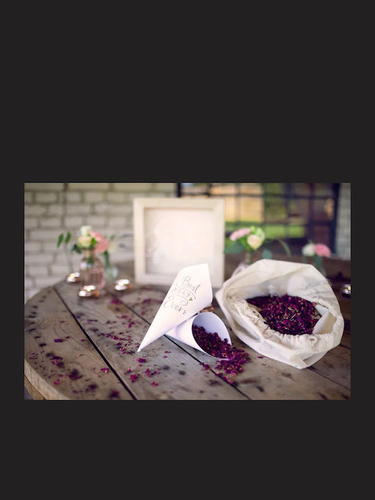 PartyDeco Χωνάκι Ρυζιού Best Day Ever 10τμχ 16cm