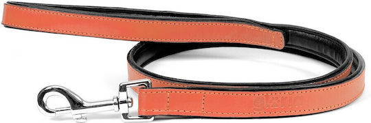 Gloriapets Hundeleine/Führleine Leder Padded Soft in Orange Farbe 1m x 1.8cm