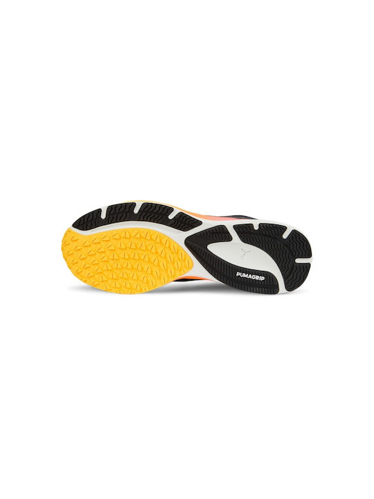 Velocity Nitro 2 Sport Shoes Running Black