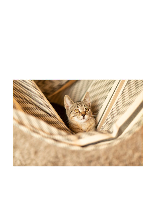 Showood Habana Single Hammock Zebra 142x142cm