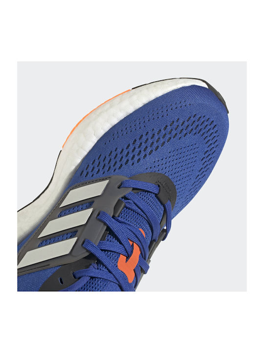 Pureboost 22 Sport Shoes Running Royal Blue / Matte Silver / Core Black