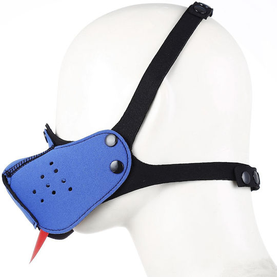 Kiotos Hunde Welpe BDSM Maske Blau
