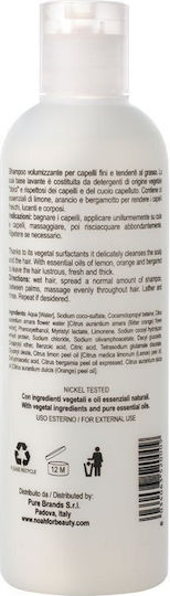 Noah for Beauty Shampoos Glanz für Ölig Haare 250ml