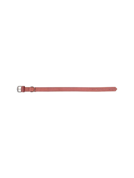 Gloriapets Oasis Dog Collar Leather In Pink Colour 18mm x 45cm