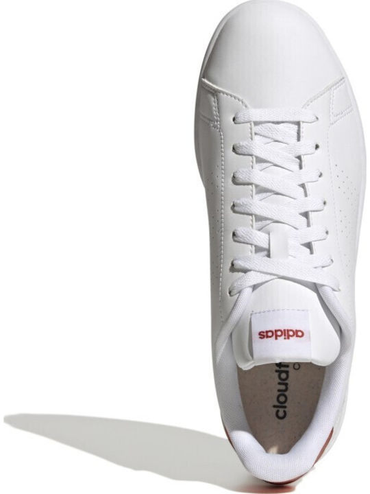 Advantage Sneakers Cloud White / Altered Amber