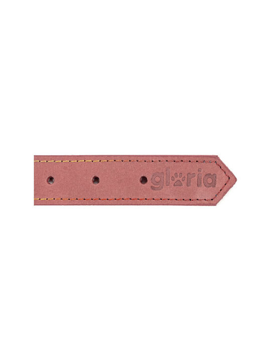 Gloria Oasis Dog Collar Leather In Pink Colour 21mm x 50cm