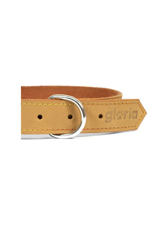 Gloriapets Oasis Dog Collar Leather In Yellow Colour 30mm x 70cm