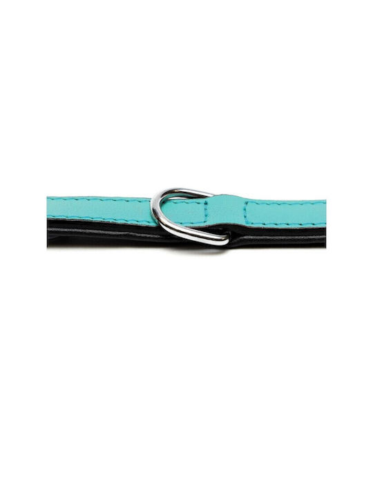 Gloriapets Soft Padded Hundehalsband Leder in Türkis Farbe 15mm x 35cm