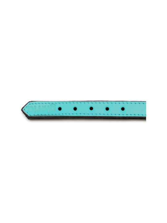 Gloriapets Soft Padded Hundehalsband Leder in Türkis Farbe 15mm x 35cm