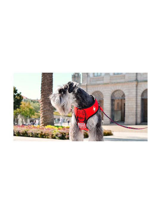 Dashi Dog Harness Vest Neo Mesh Bella Ciao Red X-Small 2.4mm x 30-36cm MO0000002661