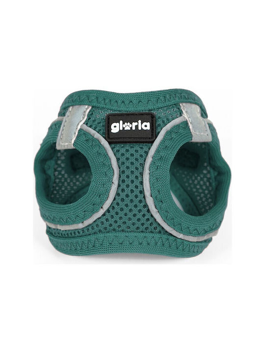 Gloriapets Dog Harness Vest Air Mesh Trek Star Turquoise XXX-Small 18-20cm S6102108