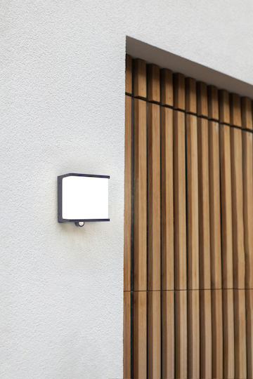 Lutec Doblo Wall Mounted Solar Light 12W 1000lm Natural White 4000K with Motion Sensor IP44 15cmx9cmx17cmcm
