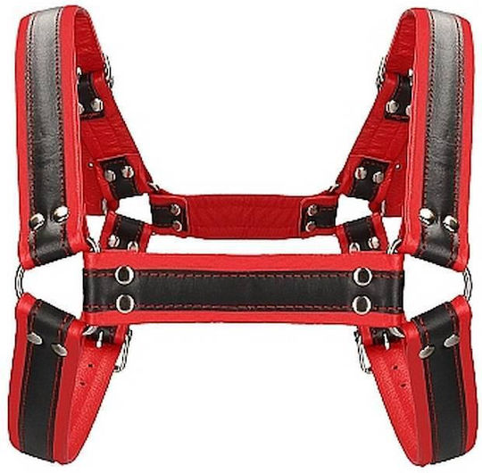 Shots Ouch! Buckle Bulldog Harness Black / Red