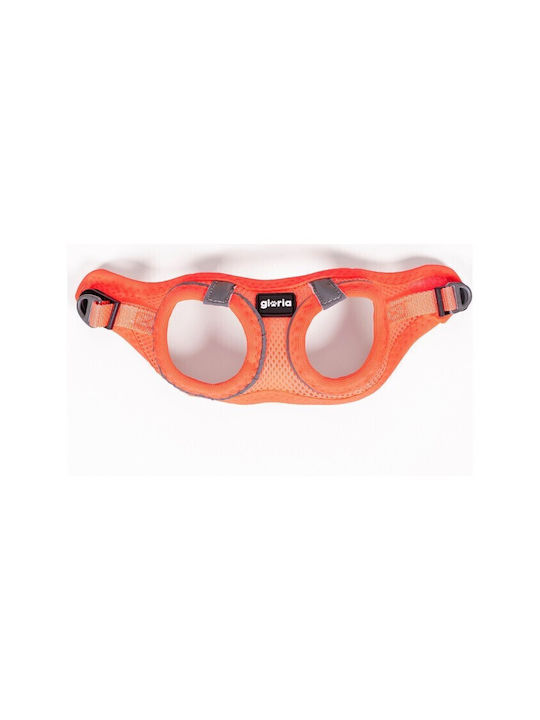 Gloriapets Hundegeschirr Weste Air Mesh Trek Star Orange Groß 33.4-35cm S6102137