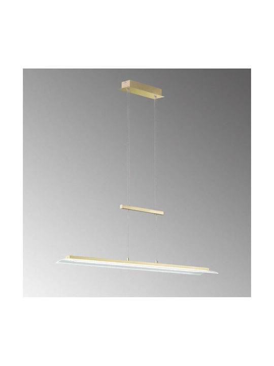 Fischer Honsel Pendant Light LED Rail Gold