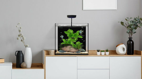 Waterbox Aquariums Cube 20 Fish Aquarium Capacity 76lt with Filter and 45x45x40cm Black