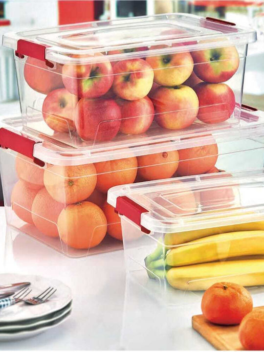 Viosarp Plastic Storage box with Cap Transparent 47.5x31.5x19cm 1pcs