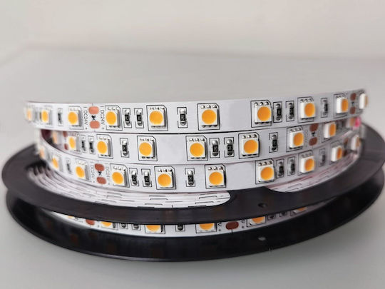 VK Lighting LED Strip 24V Adjustable White Light 5m Type SMD5050