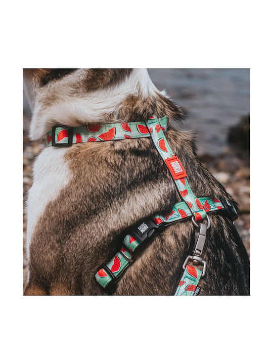 Max & Molly Нагръдник за куче Watermelon X-Small 1мм x 32-40см MM0179