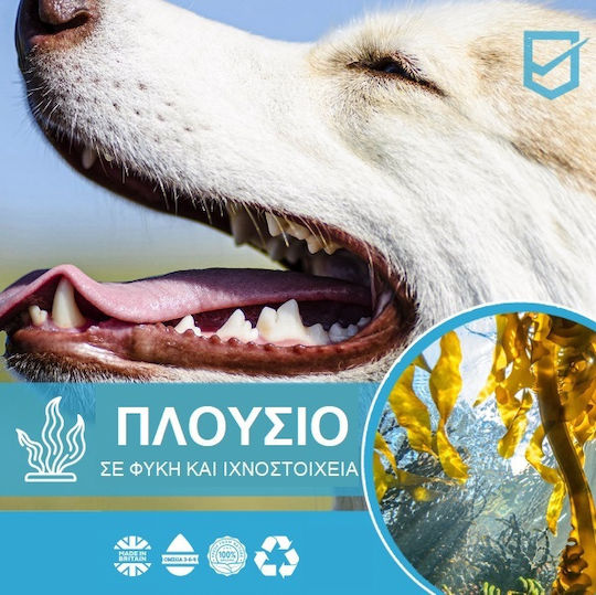Healthy Pet Diamond White Teeth Σκόνη Καθαρισμού Δοντιών για Σκύλους & Γάτες κατά της Πέτρας & Πλάκας 100gr