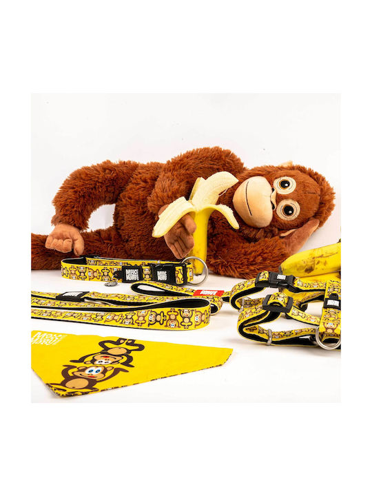 Max & Molly Monkey Κολάρο σε Κίτρινο χρώμα Small 15mm x 28 - 45cm Max & Molly Monkey Κολάρο σε Κίτρινο χρώμα Small 15mm x 28 - 45cm