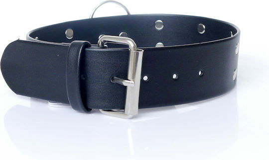 Kinksters Collar Collar With Studs 4cm Vegan Leather in Black Color