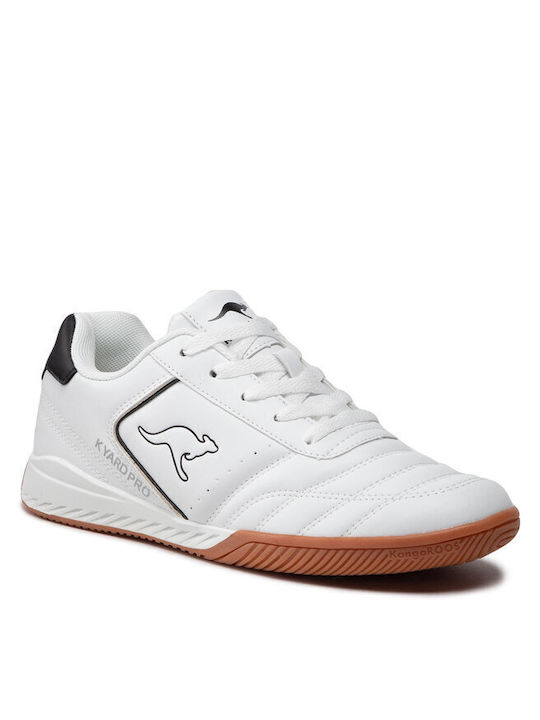 Kangaroos