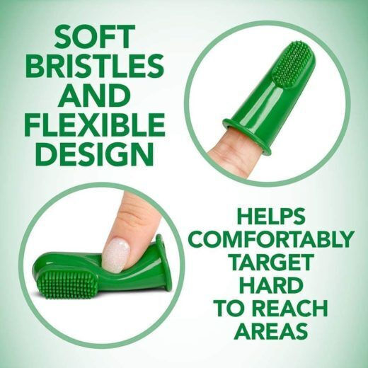 Vet's Best Green Silicon Finger Brush Zahnpflege Ring Hund 5Stück