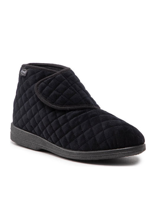 Scholl