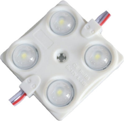 LED Module Cool White 12V 1.44W 20pcs (MOD-00120)