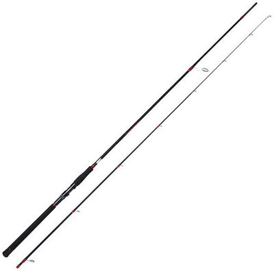 Oceanic Spider Long Cast Fishing Rod for Spinning with Reel 3.05m 12-45gr