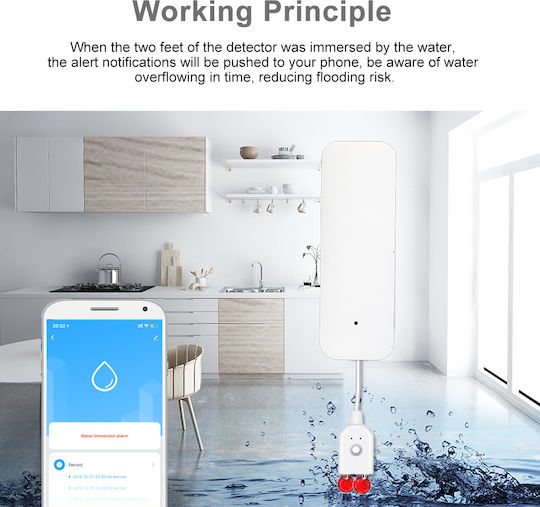 Camwon Wireless Flood Detector Battery Wi-Fi with Cable