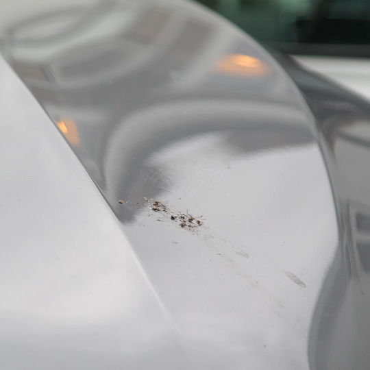 AutoGlym Кърпички За почистване за Body Bird Dropping Wipes
