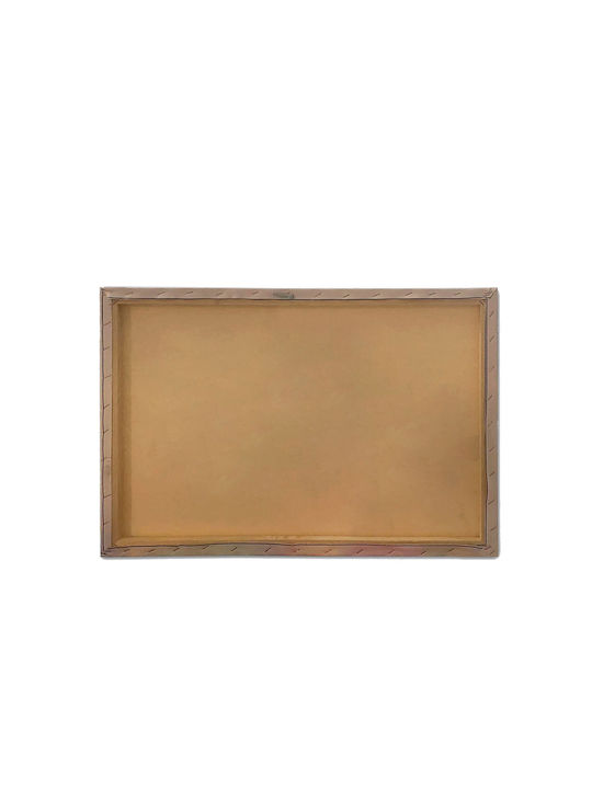 Homeplus Painting Oil Painting on Canvas 70x50cm