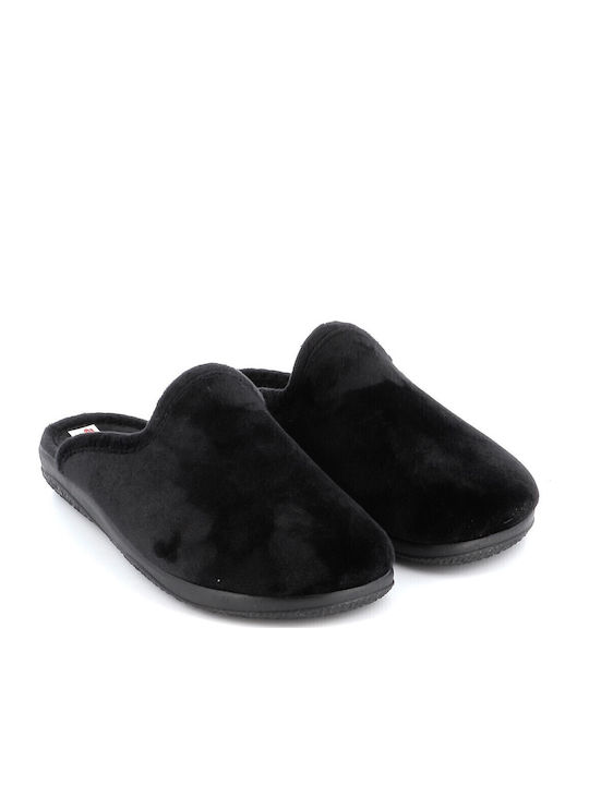 Adam's Shoes