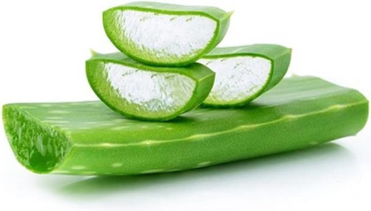 Muhle After Shave Lotion Aloe Vera με Αλόη 125ml
