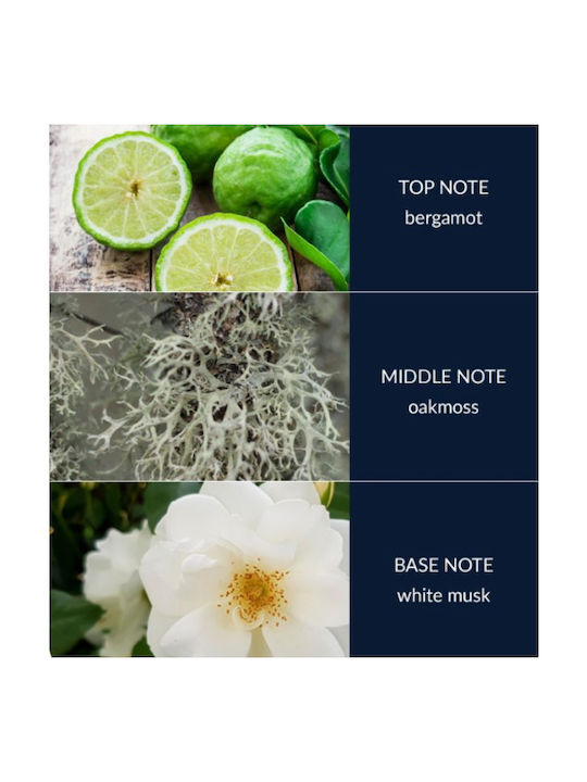 Heart & Home Aromatisches Soja Kerze Mit Duft Grapefruit Eiche & Weißer Moschus Im Gefäß 340gr