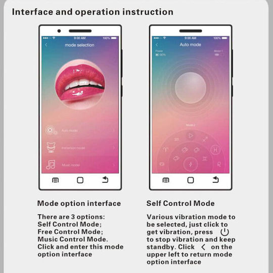 Pretty Love Elvira App Control vibrating Kegel Balls Ασύρματες Κολπικές Μπάλες με Δόνηση Μωβ