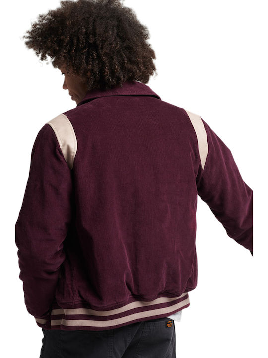 Superdry Men's Bomber Jacket Purple