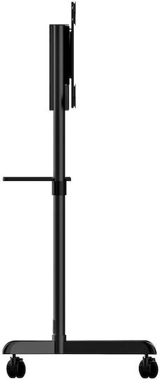 StarTech MBLTVSTNDEC Βάση Τηλεόρασης Δαπέδου έως 70" και 70kg