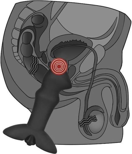 Lovetoy Anal Indulgence Collection Prostate Stud Πρωκτικός Δονητής Μαύρος