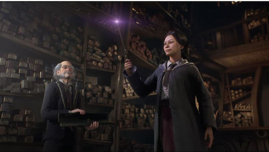 Hogwarts Legacy PS4 Game