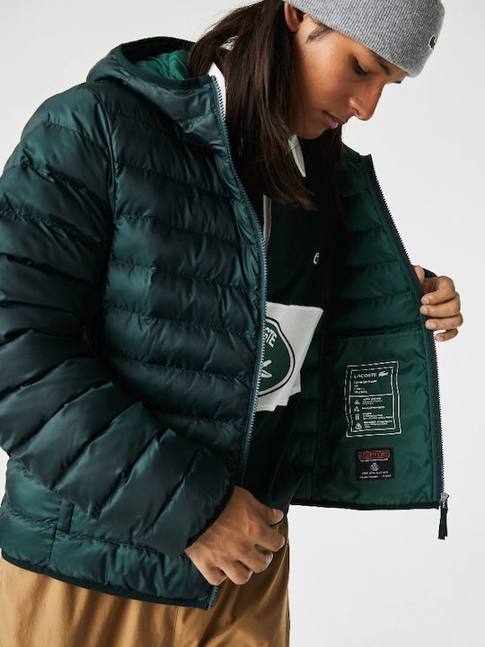 Winter Jacket Puffer Green