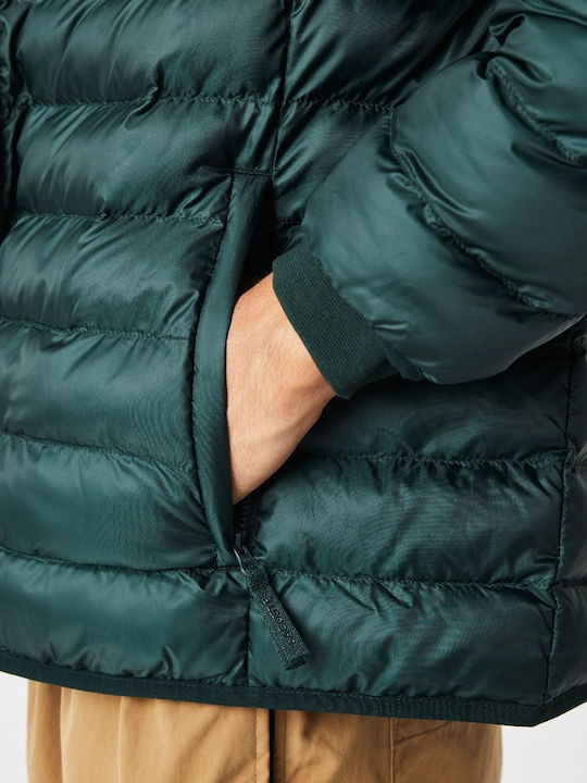 Winter Jacket Puffer Green
