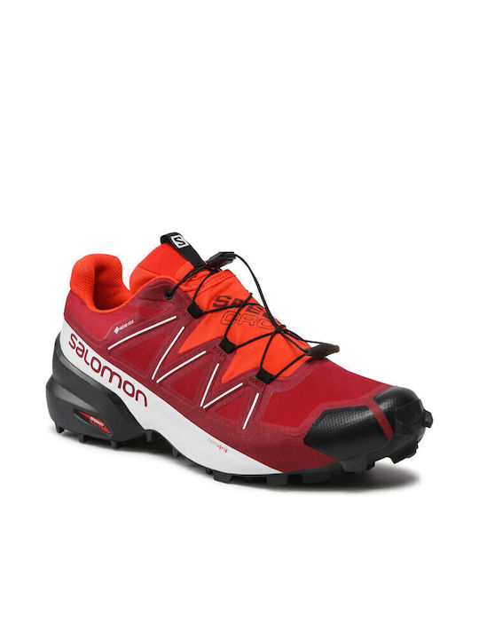 Salomon