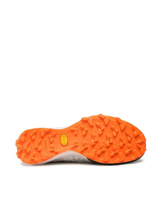 Sky Dna Bărbați Pantofi sport Alergare Multicolor