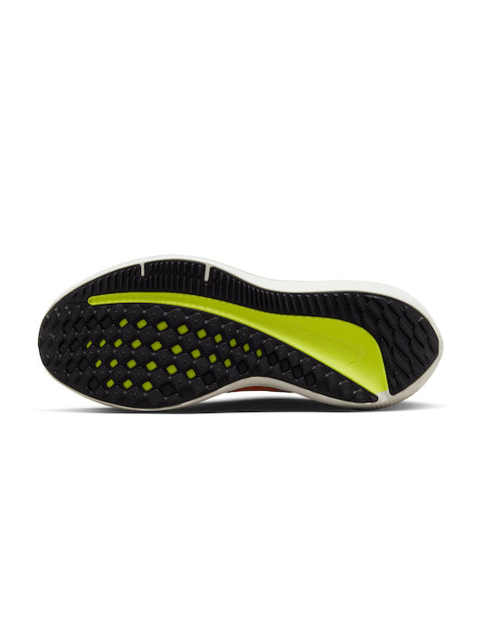 Winflo 9 Sport Shoes Running Orange