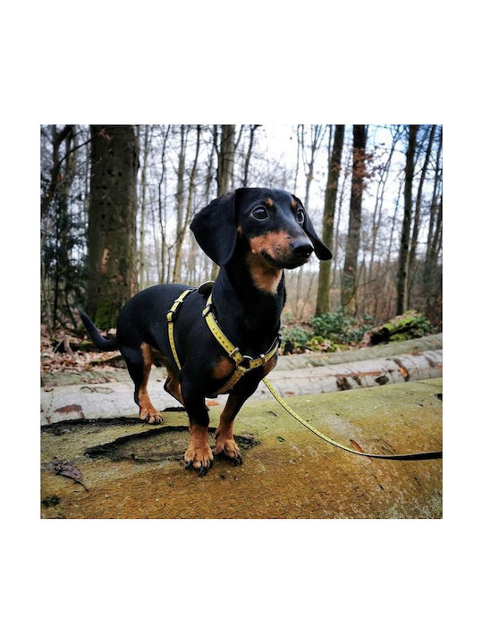Max & Molly Нагръдник за куче Ruler Жълт Medium 20мм x 53-69см ΜΜ0062